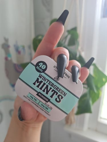 Reviewer holding the white and green tin of Wintergreen Mints.