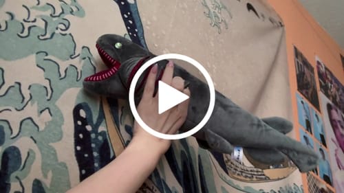 Customer video review of Frilled Shark Soft Stuffed Plush Toy