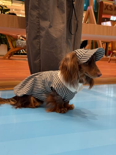 Customer photo review of Riviera Stripe Polo Hat