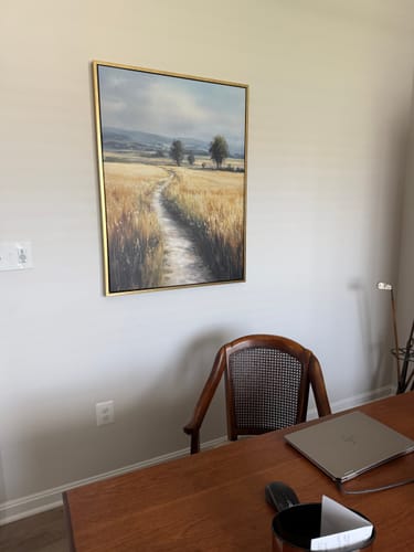 Customer photo review of Sunlit Passage Canvas Art