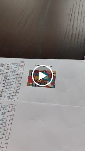 Customer video review of 5D Diamond Painting – Multicolored Flowers