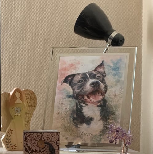 Customer photo review of Watercolour - Personalised Poster