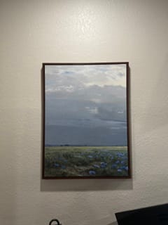 Customer photo review of Cornflower Fields - Set of 2