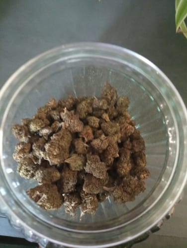 Kundenbild von getrockneten Amnesia Storm 9H-THC Blüten in einem Glas.