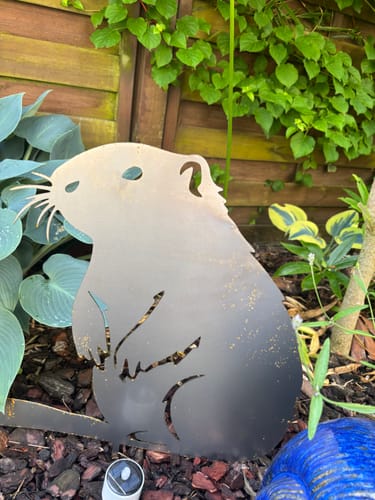 Customer photo review of Gartenstecker Biber