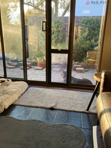 Customer photo review of Replacement Pet flap V3.0