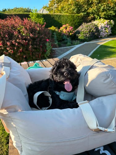 Customer photo review of Marshmallow | The Puffer Car Seat