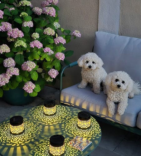 Customer photo review of Fleur de lumière®