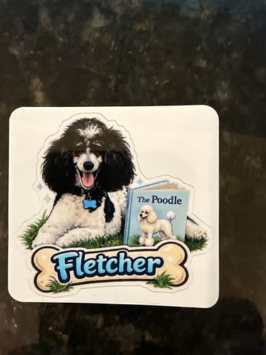 Customer photo review of KISS CUT STICKERS