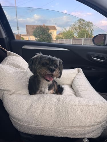 Customer photo review of Marshmallow | The Bouclé Car Seat