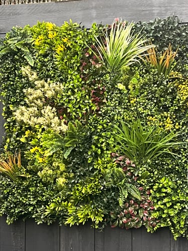 Customer photo review of Luxury Evergreen Rainforest Recycled Vertical Garden / Green Wall UV Resistant 1m X 1m