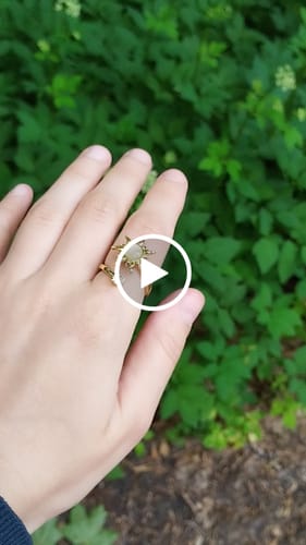Kliento apžvalga su vaizdo įrašu apie Elegancijos žiedas „Calmy“