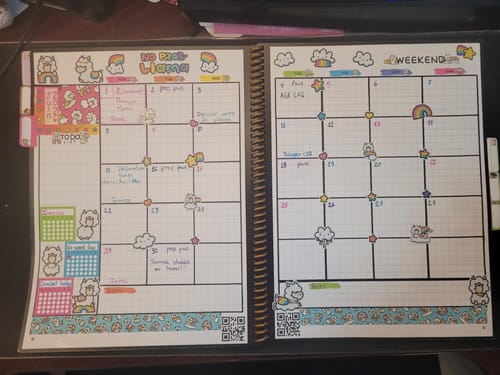 Reviewer's monthly planner spread decorated with cute Happy Llamas Planner Stickers featuring llamas and rainbows.