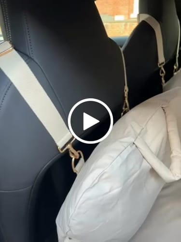 Customer video review of Marshmallow | The Puffer Car Seat