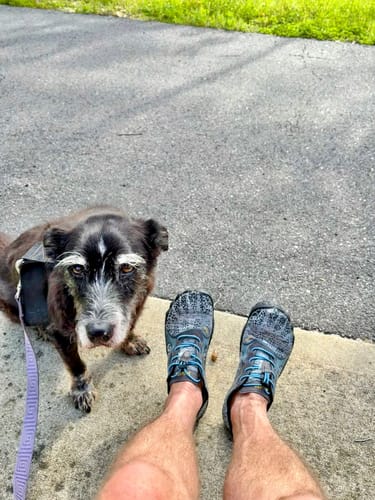 Customer's previous, worn-out pair of dark Active II Pro barefoot shoes, seen from above next to their dog.