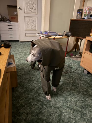 Customer photo review of Explorer Full-Cover Raincoat