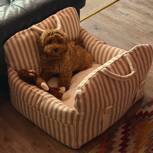 Customer photo review of The Canvas Car Seat