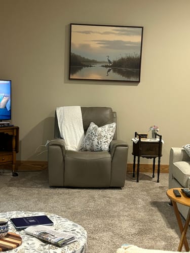 Customer's Wetland Heron Canvas Art hanging on a living room wall above a gray recliner.