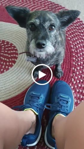 Customer video review of CUURT Muuv - Wide Toe Box Court Shoes (Unisex)