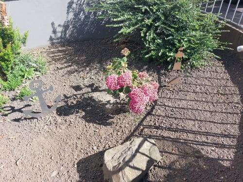 Customer photo review of Gartenstecker Anker