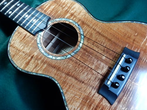 Customer photo review of C-LG Worth Single Low G NON WOUND CLEAR Tenor Ukulele String Fluorocarbon 2 Restrings per Pack