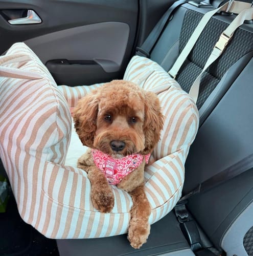 Customer photo review of The Canvas Car Seat