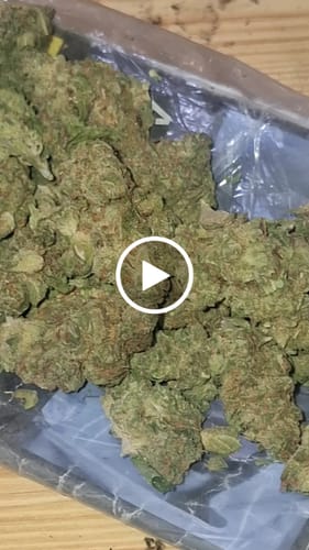 Customer video review of CALI MIX AAA+ – Premium Selection