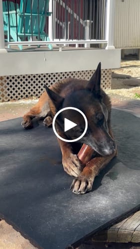 Customer video review of Smoked Beef Marrow Bone