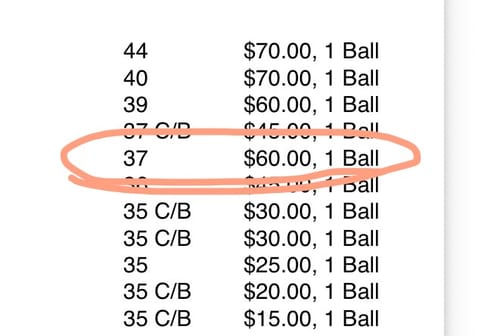 Customer photo review of Mates Rate Birdie Balls