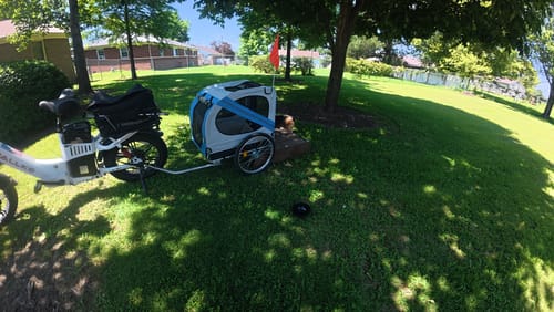 Customer photo review of Pet/Cargo Trailer