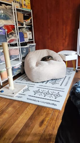 Reseña con foto de un cliente sobre NUBESOFÁ Viscoelástico - Crema