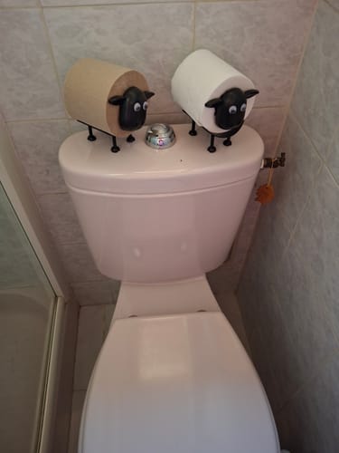 Customer photo review of Mon petit mouton®