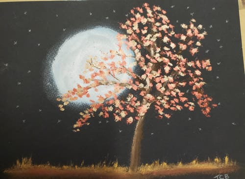 Customer photo review of SketchBox Exclusive Art Crayons