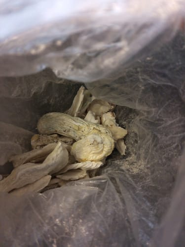 Customer photo review of Non Detect Raw Mushrooms