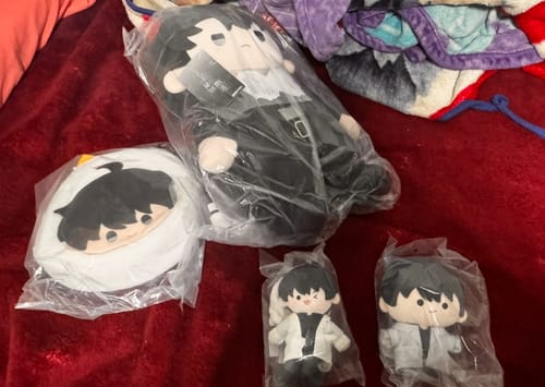 Customer's Omniscient Reader's Viewpoint - Plush Bag and other merchandise shown still in their plastic packaging.