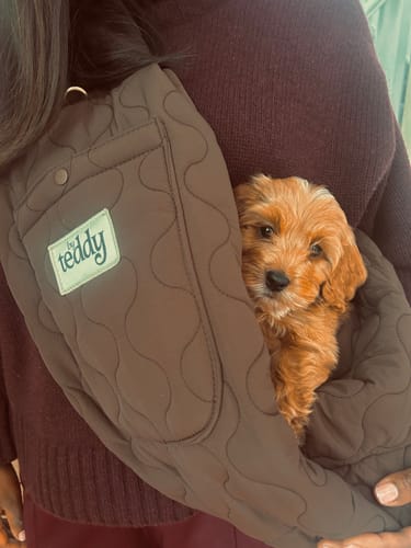 Customer photo review of Chocolate | The Quilted Sling