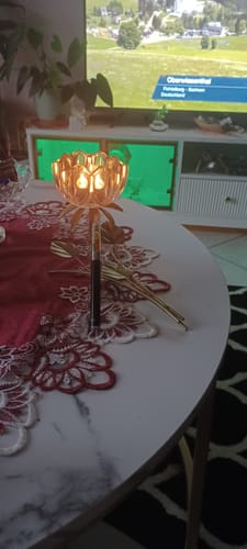 Kunde zeigt den Vape mit der Blueberry 9H-THC Kartusche auf einem Tisch in einem Wohnzimmer.