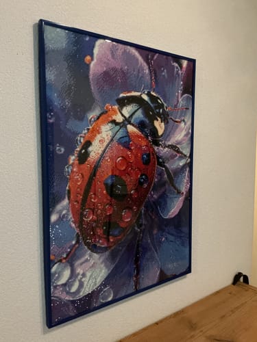 Customer photo review of 5D Diamond Painting – Marienkäfer