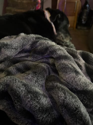 Close-up of the reviewer's plush Hugs Marble Onyx Blanket, with a dog resting in the background.