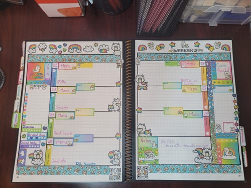 Reviewer's decorated weekly planner spread using colorful Rainbow Llamas Washi Tapes as borders.