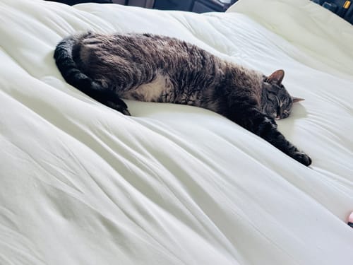 Customer photo review of CloudCool™ Cooling Comforter