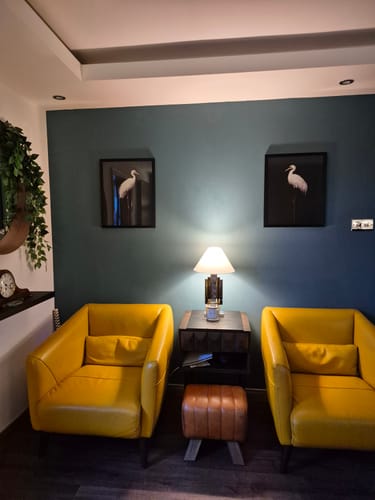 Customer photo review of Midnight Crane No1 Print