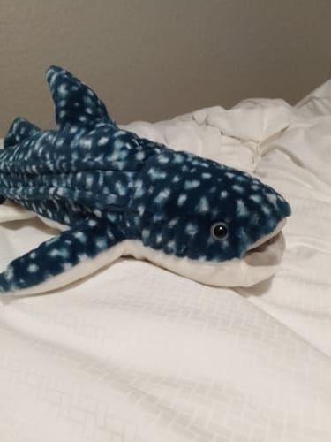 Customer's fluffy The Quest Plush whale shark toy resting on a white bedspread.