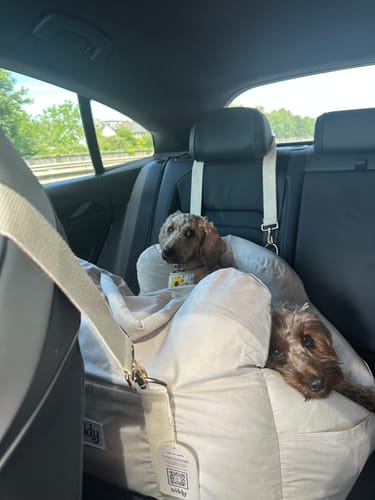 Customer photo review of Marshmallow | The Puffer Car Seat