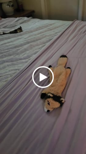 Customer video review of CloudCool™ Cooling Comforter