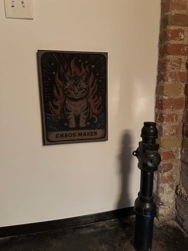 Customer photo review of Chaos Maker - Luxury Cat Scratching Board
