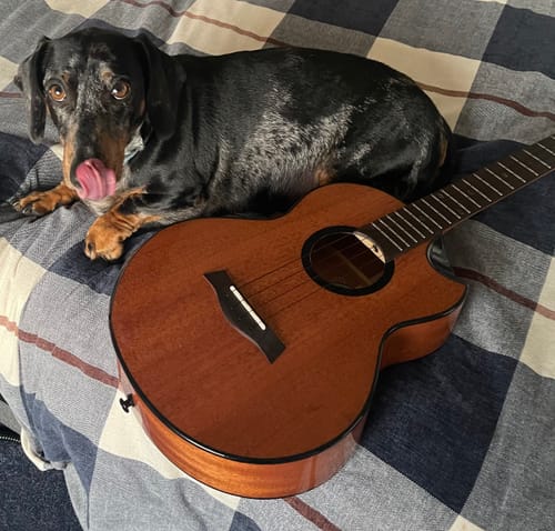 Customer photo review of Flight Nomad Baritone Ukulele NOMADB