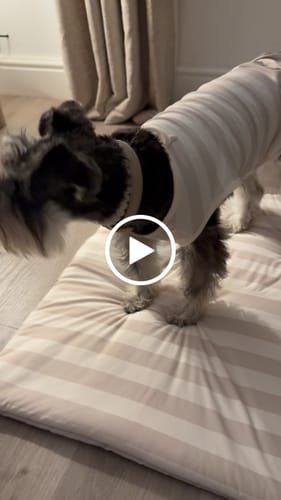 Customer video review of Summer Breeze Cooling Mat
