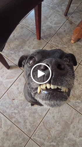 Customer video review of Dental Powder