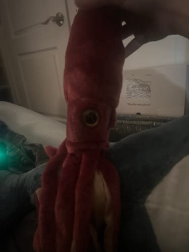 Customer photo review of Giant Squid Soft Stuffed Plush Toy